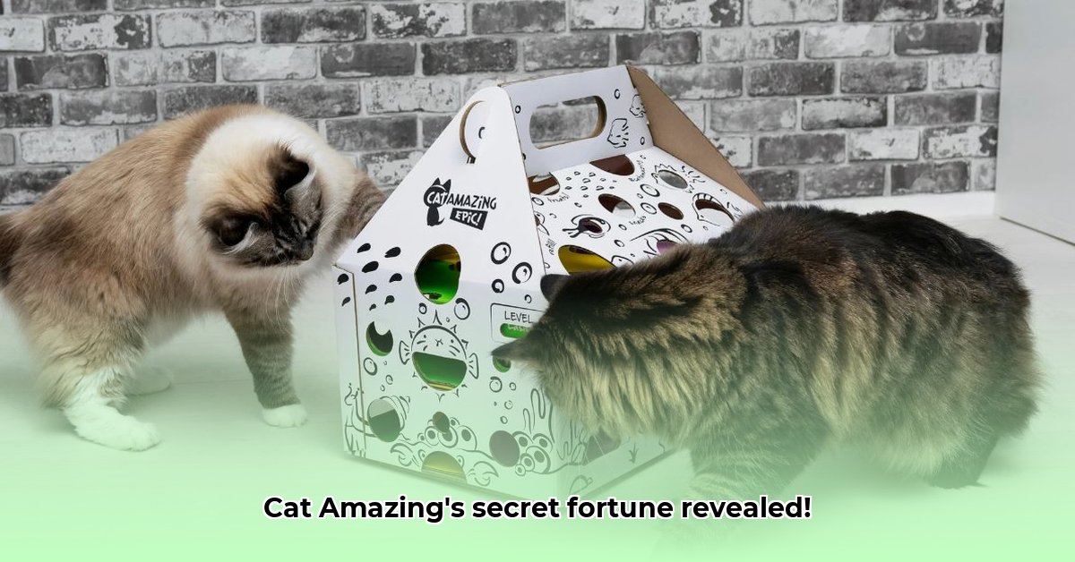 catamazing-net-worth